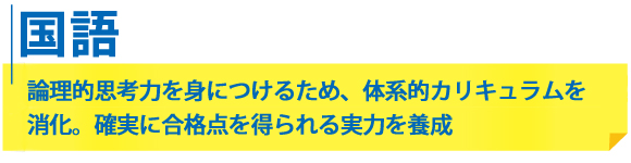 高校3年生「国語」論理的思考力を身につけるため、体系的カリキュラムを消化。確実に合格点を得られる実力を養成
